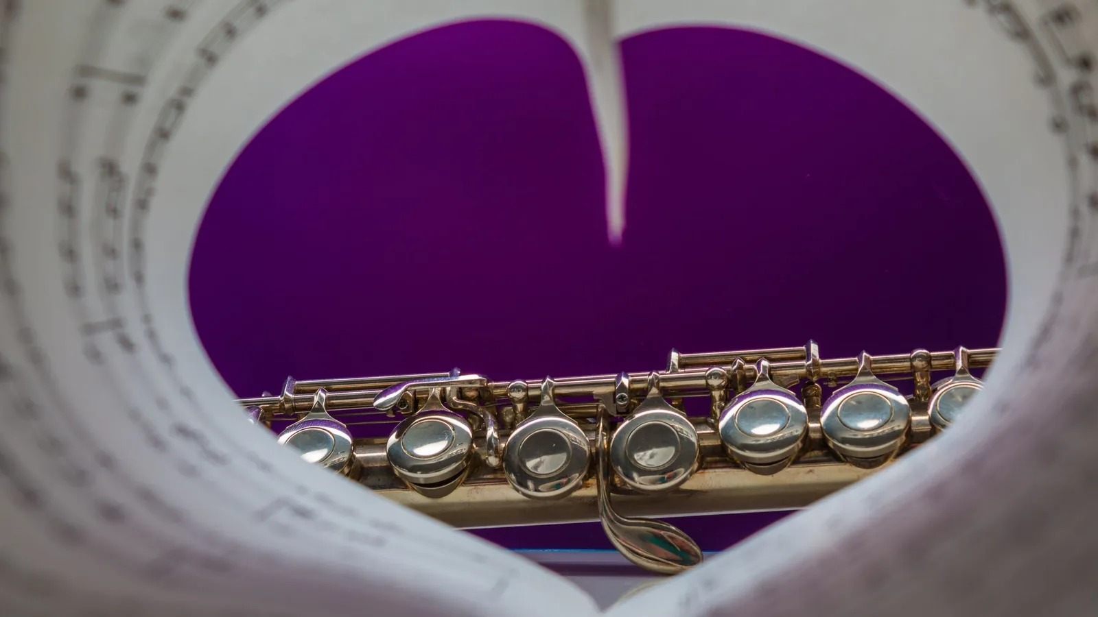 A French horn in its case