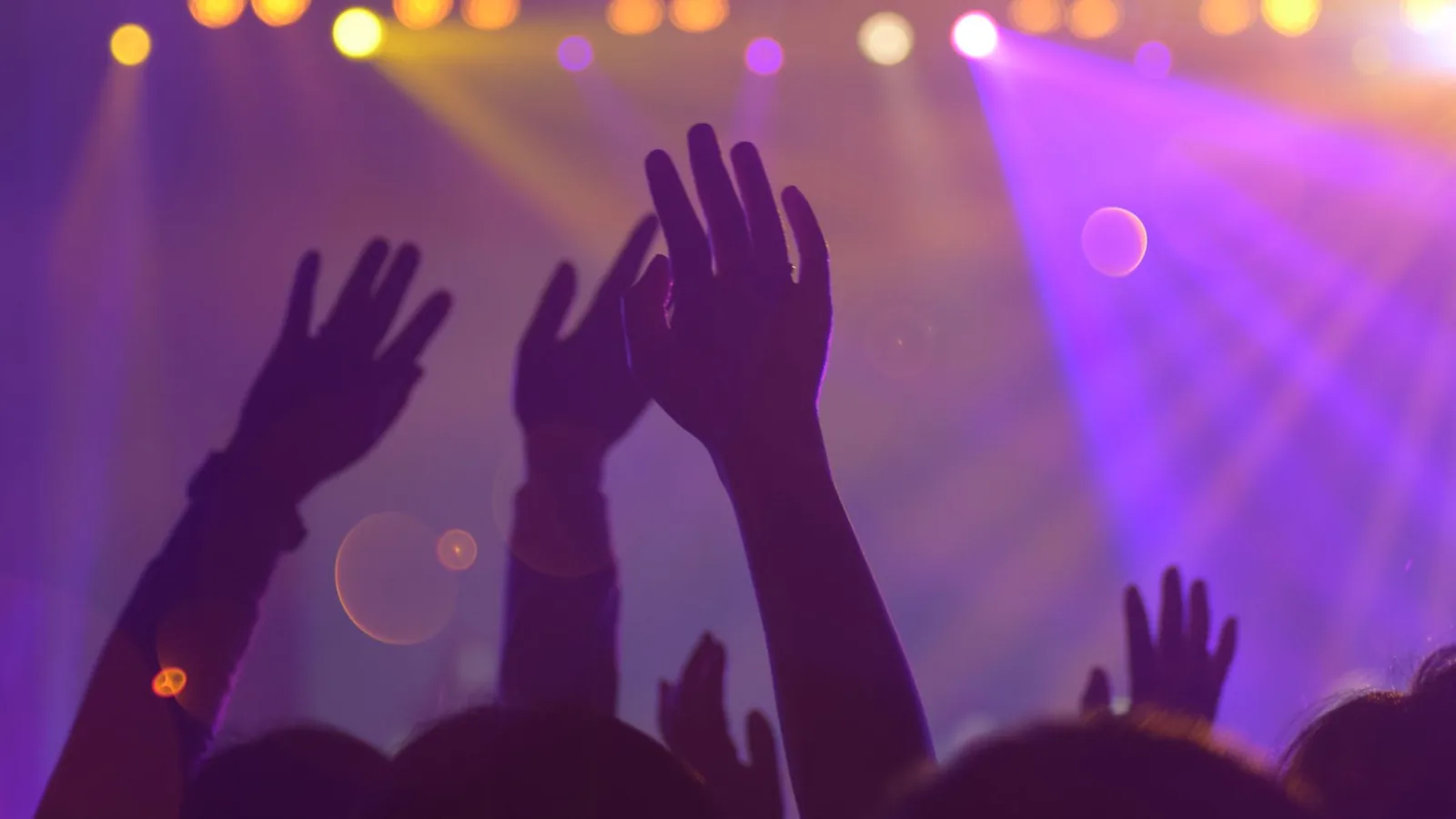 Concertgoers raising their hands